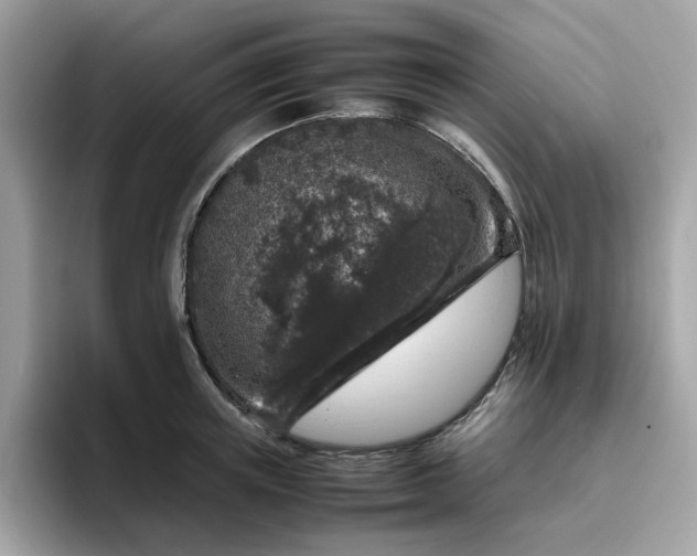 X0000095950851200801251128