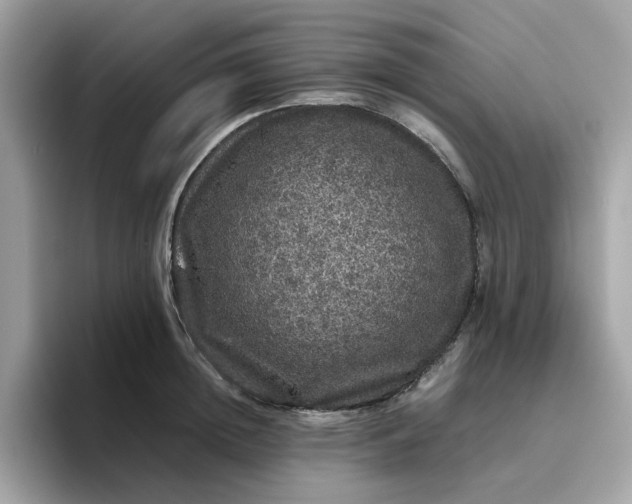 X0000095950852200801251128