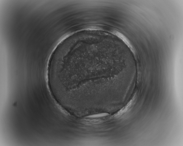 X0000095950853200801251128