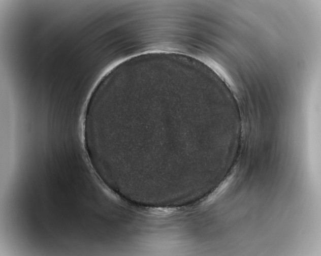 X0000095950854200801251128