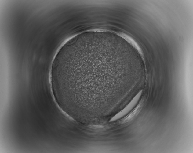 X0000095950855200801251128