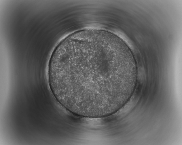 X0000095950856200801251128