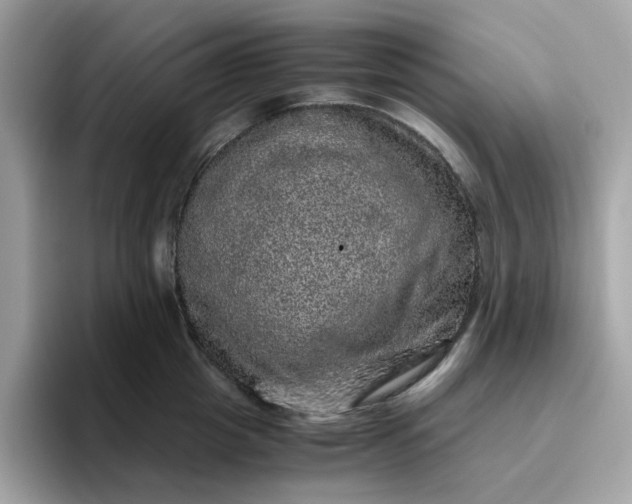 X0000095950857200801251128