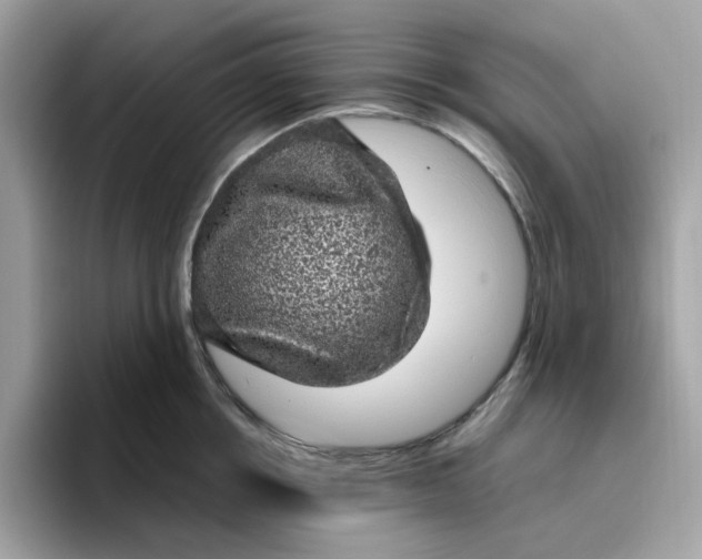 X0000095950858200801251128