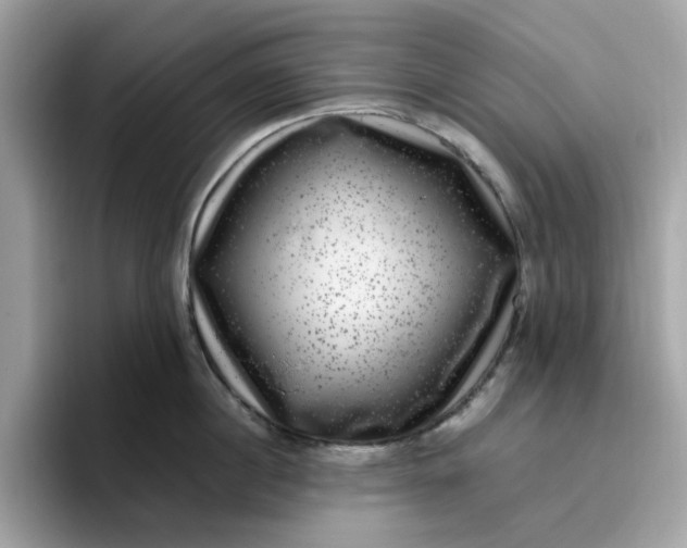 X0000095950860200801251128