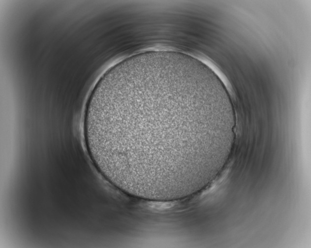 X0000095950861200801251129