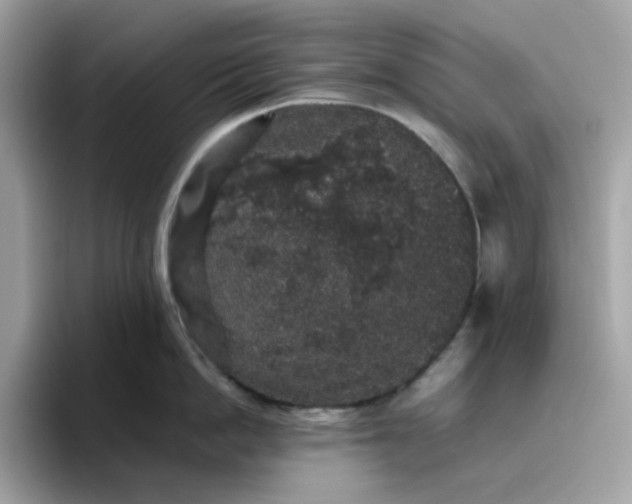 X0000095950862200801251129