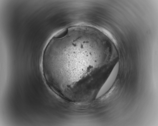 X0000095950863200801251129