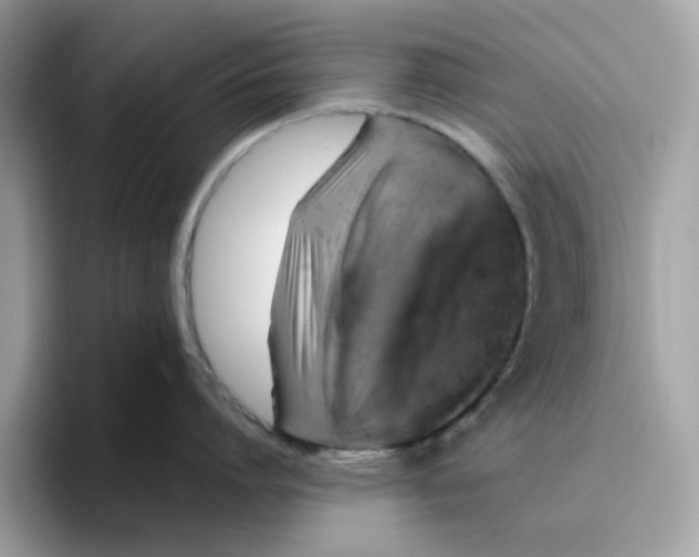 X0000095950864200801251129