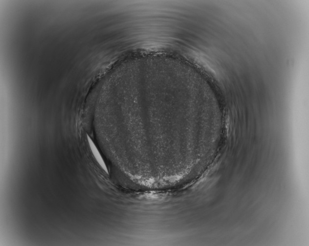 X0000095950868200801251128