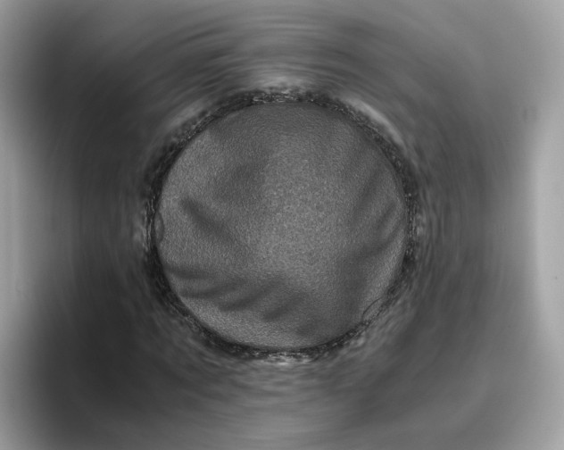 X0000095950869200801251128