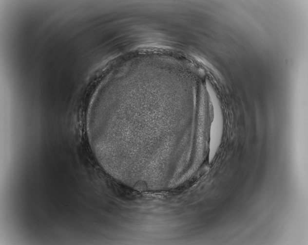 X0000095950870200801251128