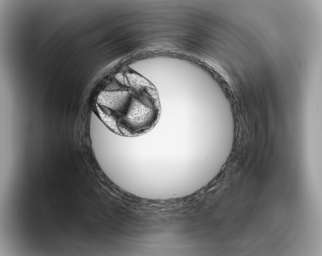 X0000095950872200801251128