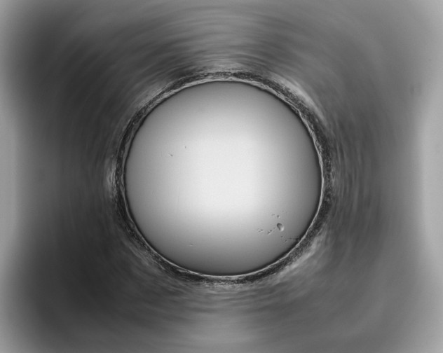 X0000095950873200801251128