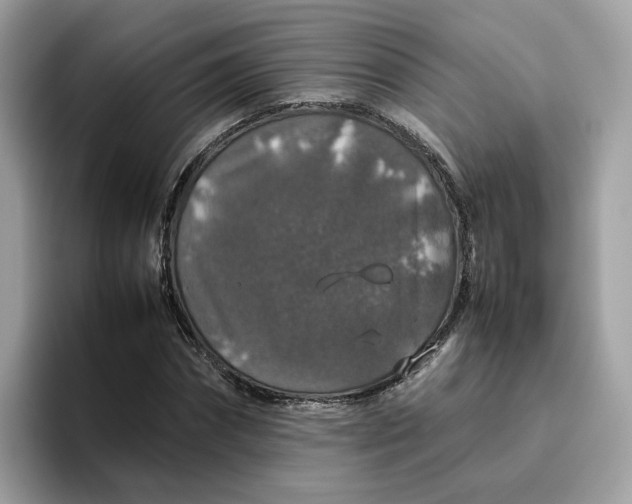 X0000095950874200801251128