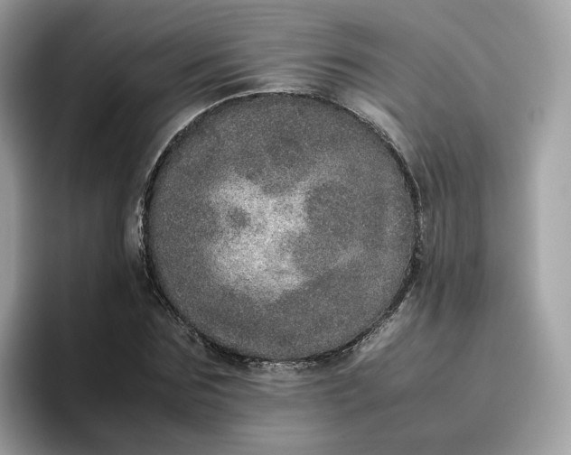 X0000095950875200801251128