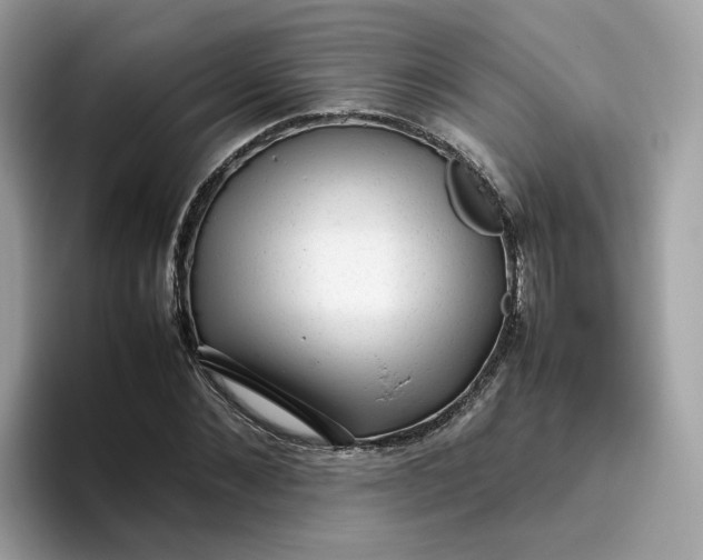 X0000095950876200801251128