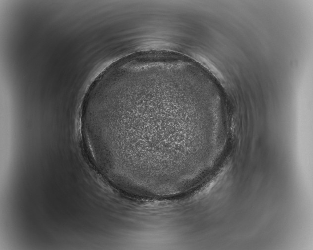 X0000095950877200801251128