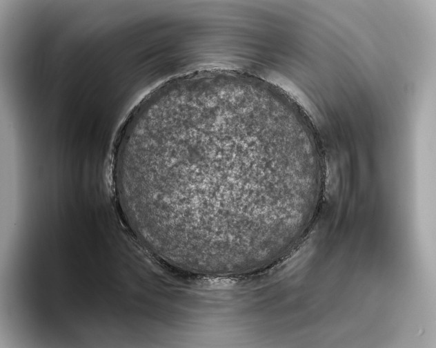 X0000095950878200801251128