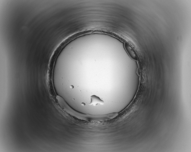 X0000095950880200801251128