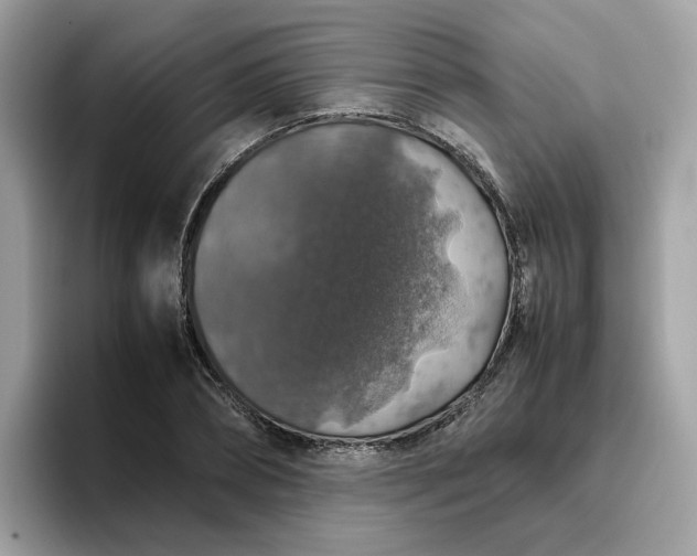 X0000095950882200801251128