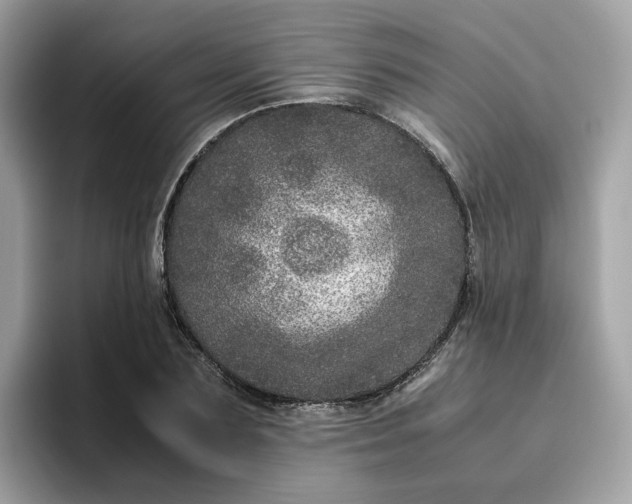 X0000095950883200801251128