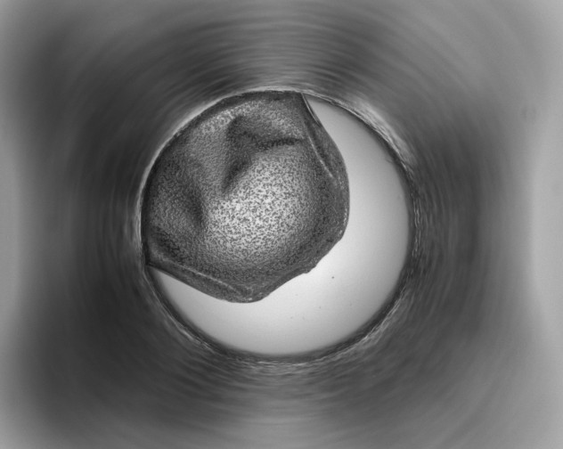 X0000095950884200801251128