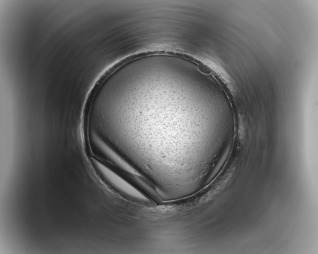 X0000095950888200801251128