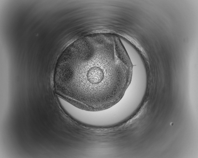 X0000095950889200801251128