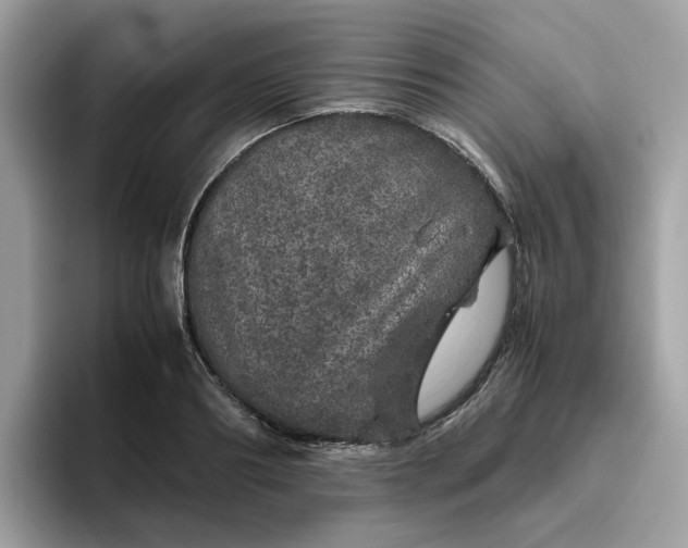 X0000095950890200801251128