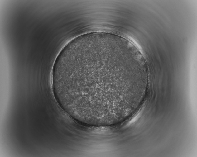 X0000095950891200801251128