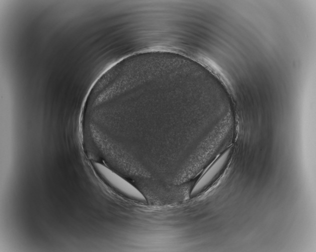 X0000095950892200801251128