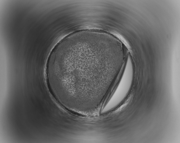 X0000095950893200801251128