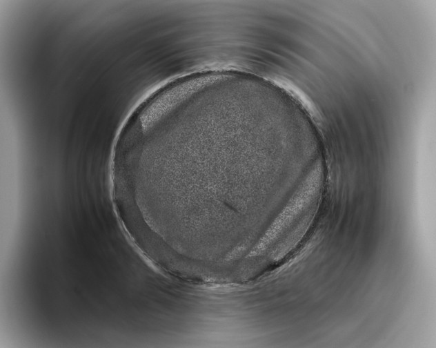 X0000095950894200801251128