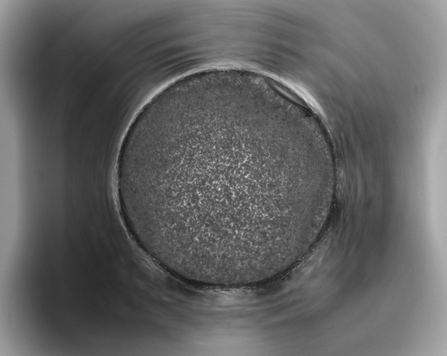 X0000095950895200801251128