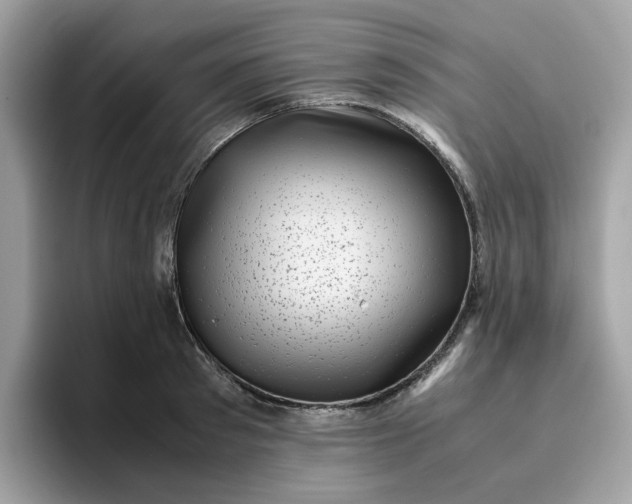 X0000095950897200801251128