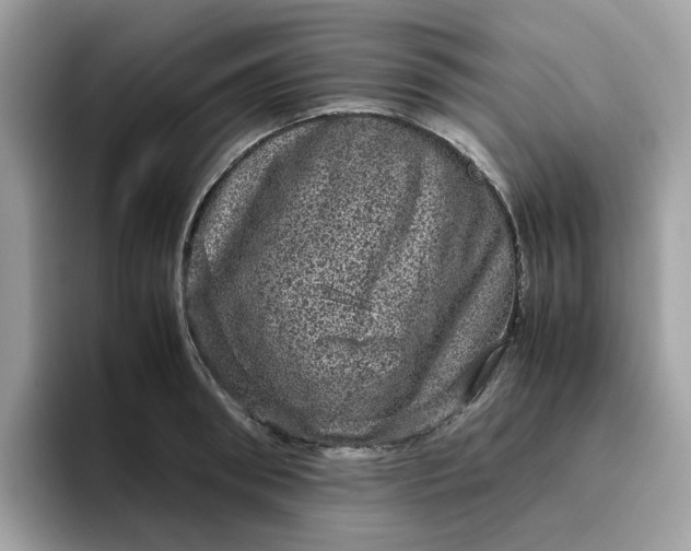 X0000095950898200801251127