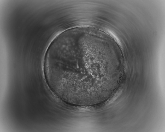 X0000095950899200801251127