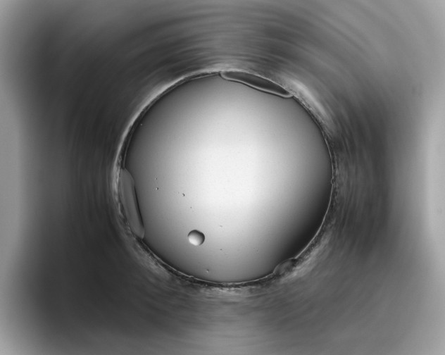 X0000095950900200801251127