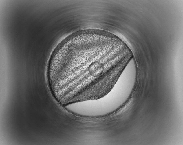 X0000095950901200801251127