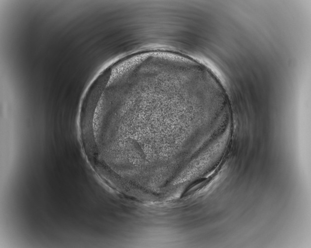 X0000095950902200801251127