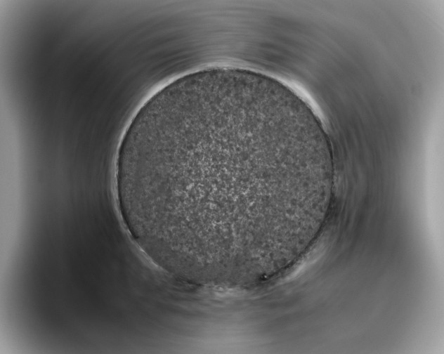 X0000095950903200801251127