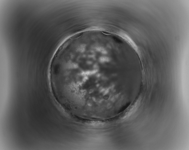 X0000095950907200801251127