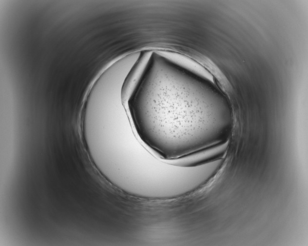 X0000095950908200801251127