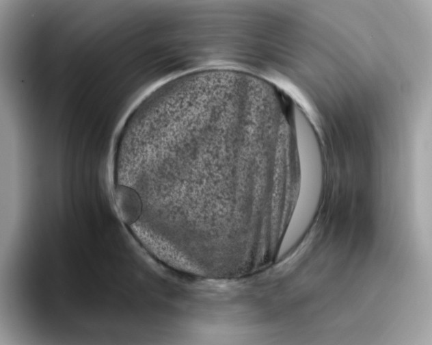 X0000095950910200801251127