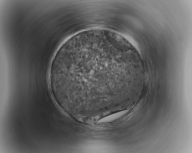 X0000095950911200801251127