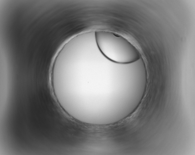 X0000095950912200801251127