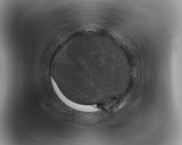 X0000095950916200801251127