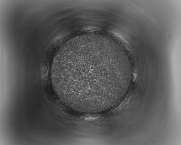 X0000095950917200801251127