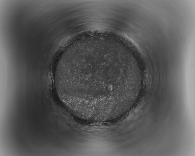 X0000095950918200801251127